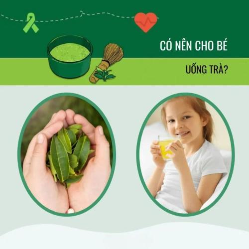 Có Nên Cho Bé Uống Trà – Bật Mí Công Dụng Tuyệt Vời Của Trà Cho Bé Yêu